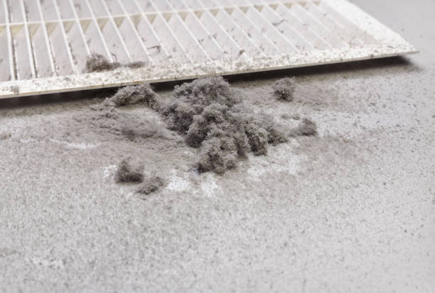 Best Commercial Air Duct Cleaning  in Honesdale, PA