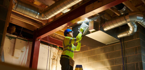 Best Air Duct Mold Removal  in Honesdale, PA